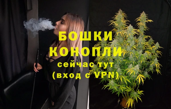 соль ск Арсеньев